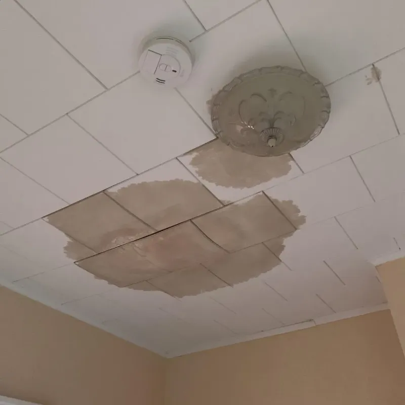Ceiling Water Damage Repair in South Ashburnham, MA
