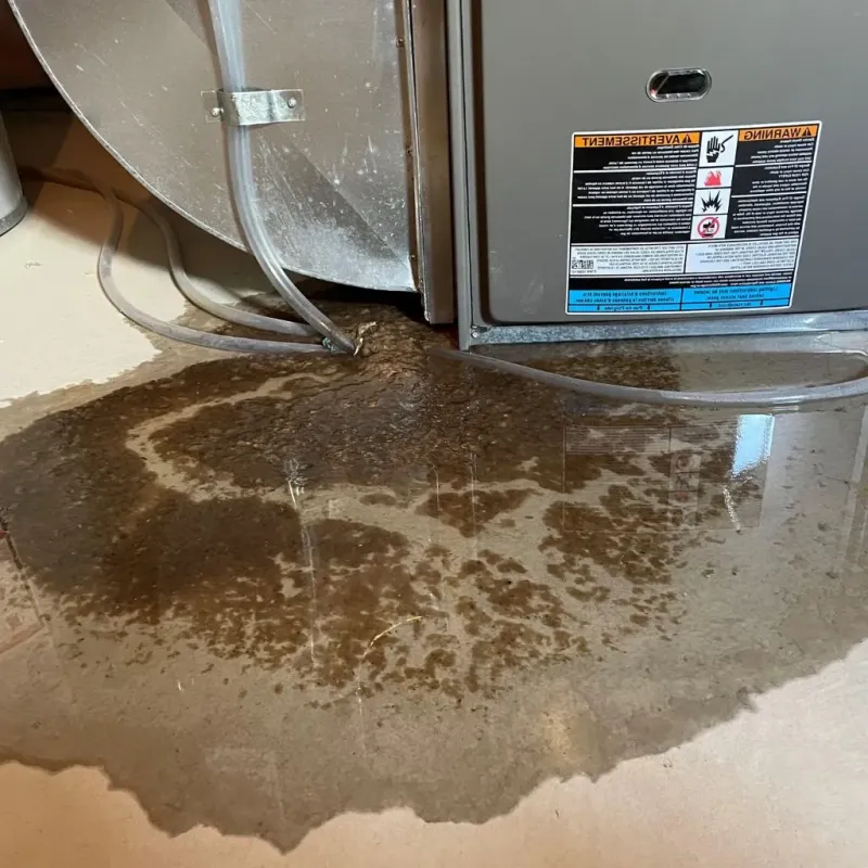 Pipe Burst and Leak Restoration in South Ashburnham, MA